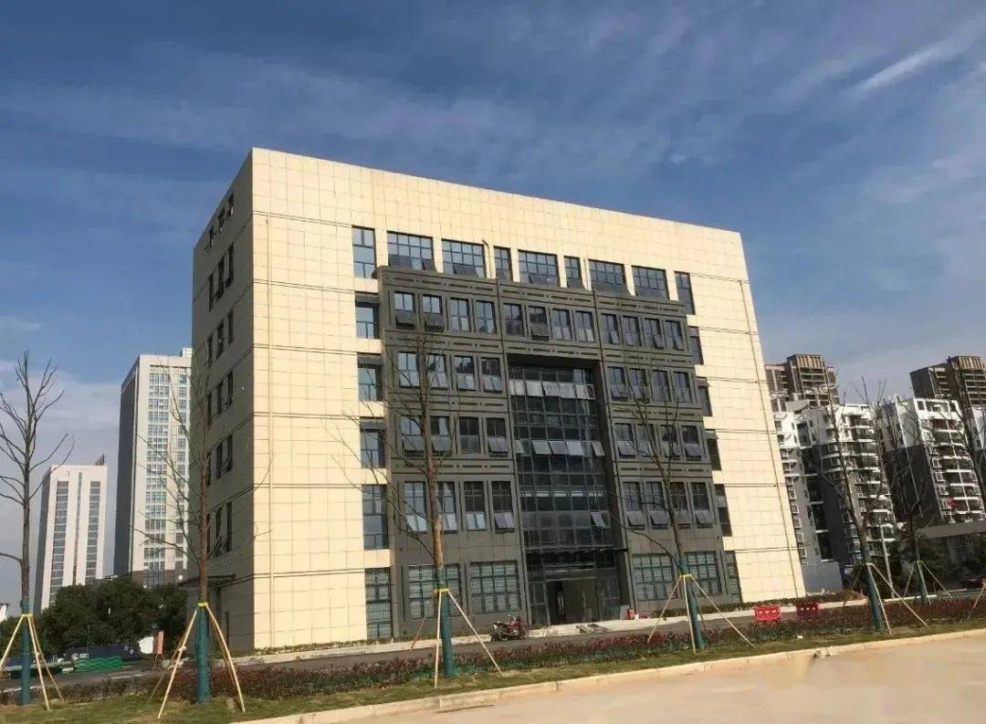 阳逻海关查验平台